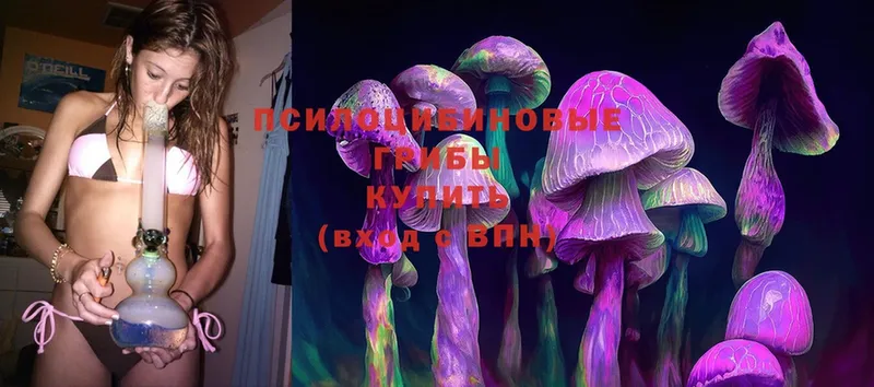 Псилоцибиновые грибы Psilocybine cubensis  Поворино 